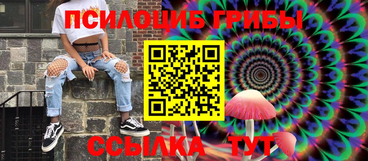 Псилоцибиновые грибы GOLDEN TEACHER Карпинск