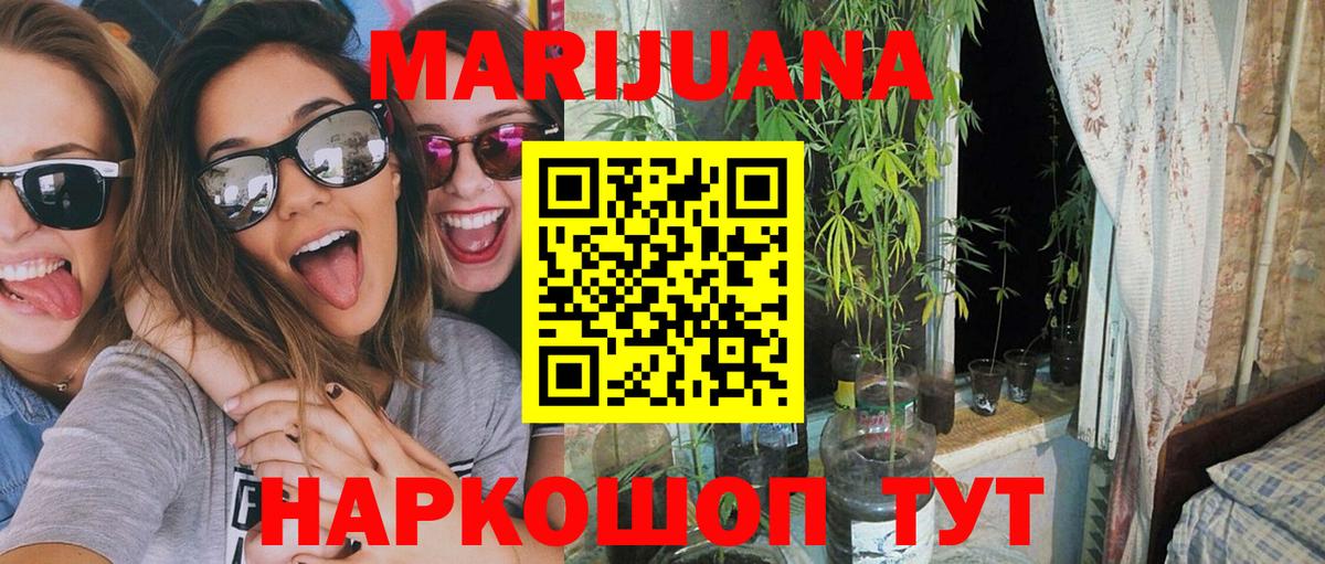 Канабис планчик Карпинск